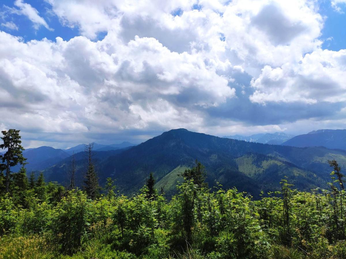 Western Tatras Slovakia Oravsky Biely Potok Exteriér fotografie