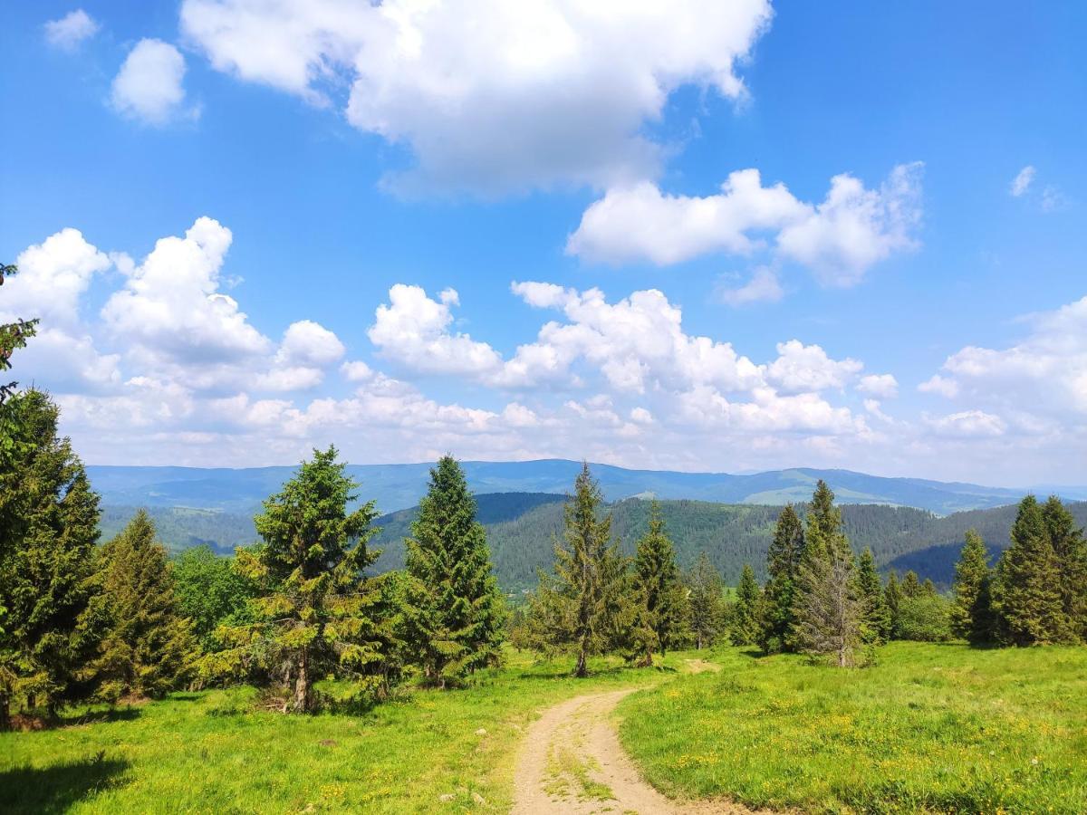 Western Tatras Slovakia Oravsky Biely Potok Exteriér fotografie